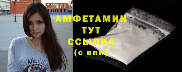 МДПВ Рославль